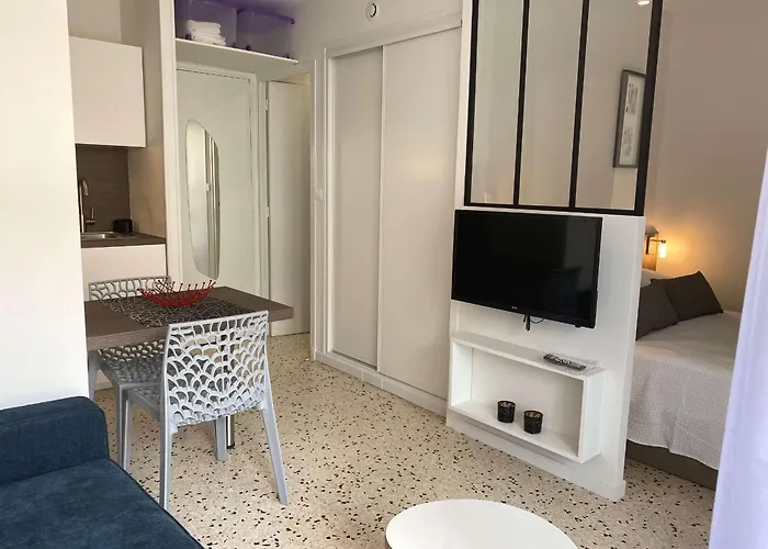 T1 Avec Balcon, Climatisation, Et Parking - Face Parc Charles De Gaulle - - Fr-1-553-147 *
