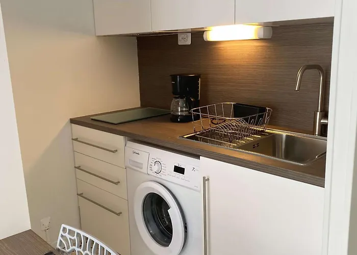 Lejlighed T1 Avec Balcon, Climatisation, Et Parking - Face Parc Charles De Gaulle - - Fr-1-553-147 Balaruc-les-Bains